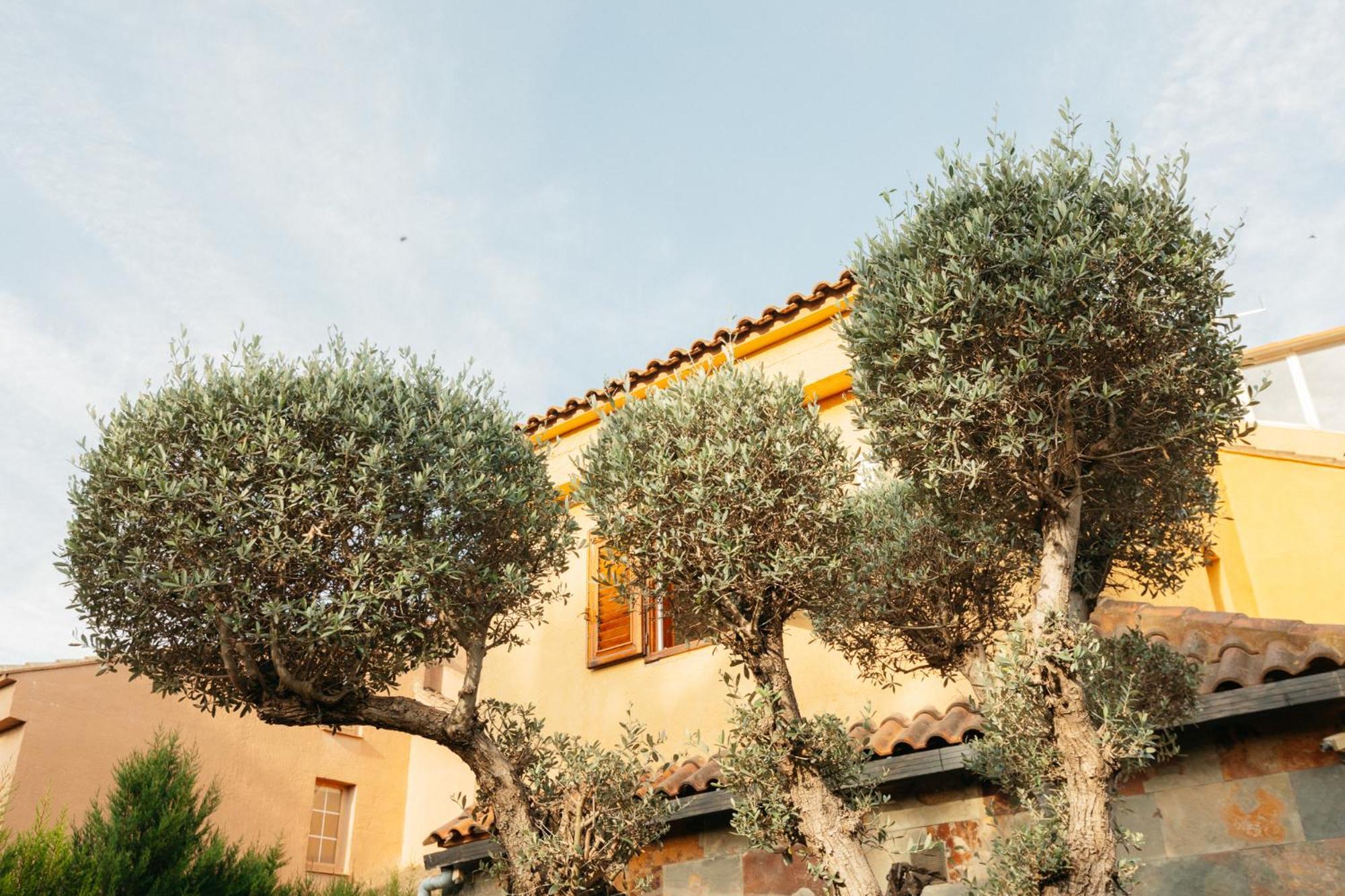 Chalet, Villa Rodeada De Naturaleza Piscina A Doce Klm De Valencia Y 7 Del Aeropuerto Exteriér fotografie