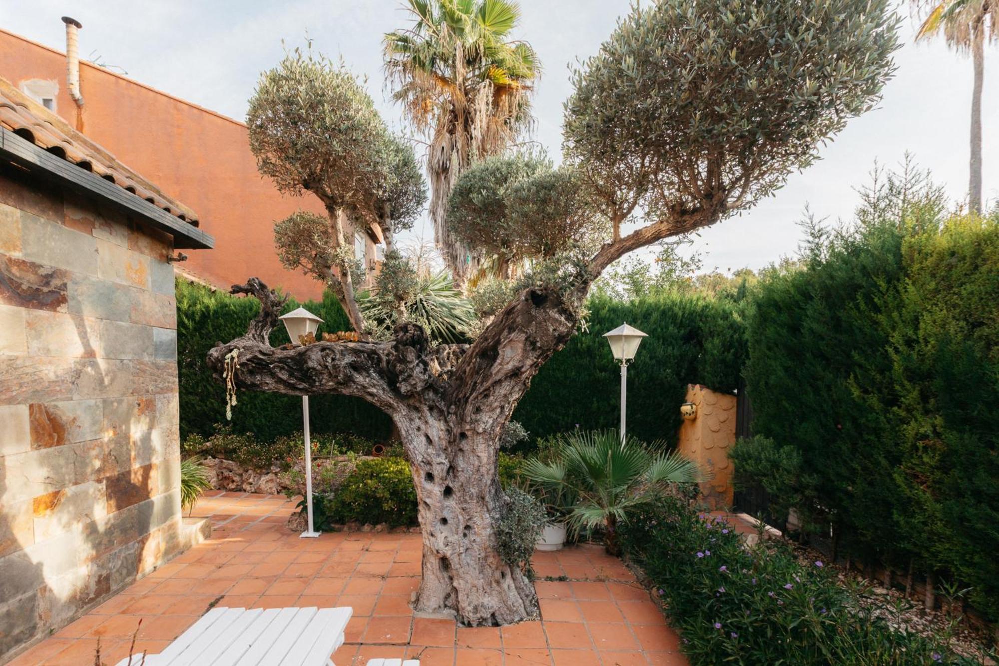 Chalet, Villa Rodeada De Naturaleza Piscina A Doce Klm De Valencia Y 7 Del Aeropuerto Exteriér fotografie